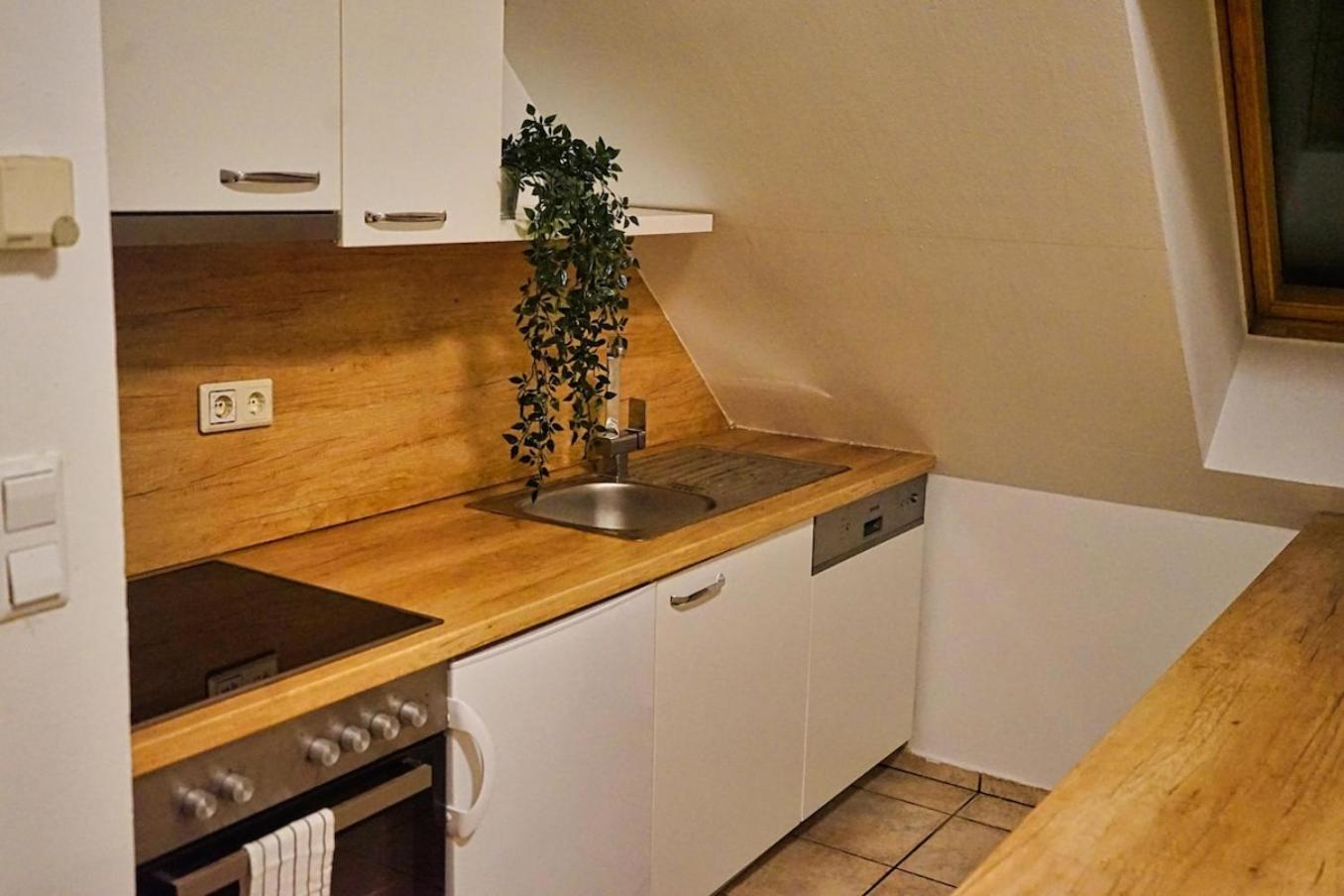 Beautiful Rooftop Apartment 비엔나 외부 사진